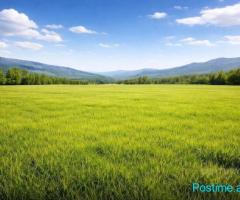 TOKE PRANE URES SE GJOLES - 1.500.000€ | 50000 m²