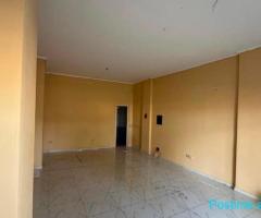 SHITET AMBIENT BIZNESI NE RRUGEN E PORTIT, DURRES