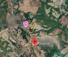SHITET TOKE ARE 4.000 M2 NE FRAVESH, BERZHITE 51.000.000 LEK