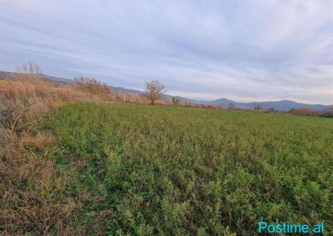 Shitet Toka, 6000m² - 3/5
