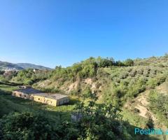 +355696707847 Truall dhe ndërtesa në shitje – Pezë e Vogël