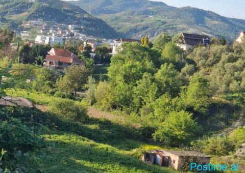 +355696707847 Truall dhe ndërtesa në shitje – Pezë e Vogël - 8/10