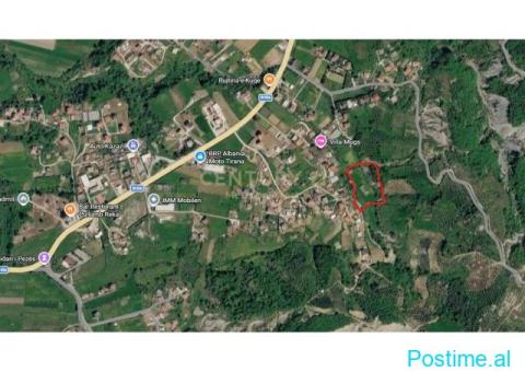 +355696707847 Truall dhe ndërtesa në shitje – Pezë e Vogël - 10/10
