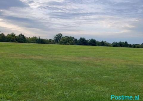 SHITET TRUALL 800 M2 RINAS 120.000 EURO