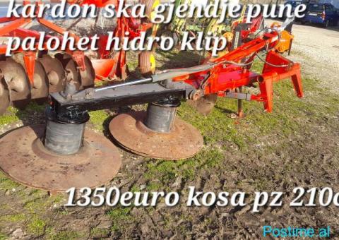 Hapse gropa per pemë kardon ska ere osht imt - 8/10