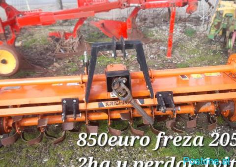 Hapse gropa per pemë kardon ska ere osht imt - 10/10