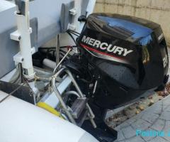 Mercury 20 4 kohesh injeksion 2021