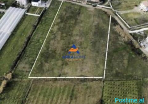 JEPET TOKË ME QERA 7000 M² 'PRUSH' 1400 EURO