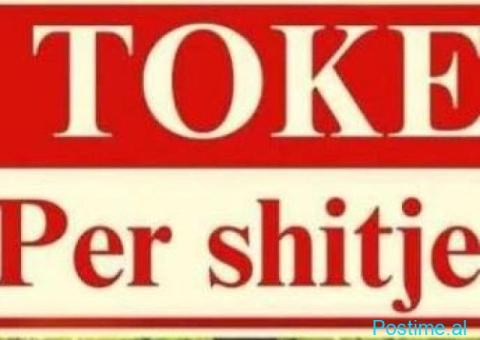 🌳 SHITET TOKË – FARKË 📍 📍 Vendndodhja: Farkë, përballë B