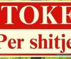 🌳 SHITET TOKË – FARKË 📍 📍 Vendndodhja: Farkë, përballë B