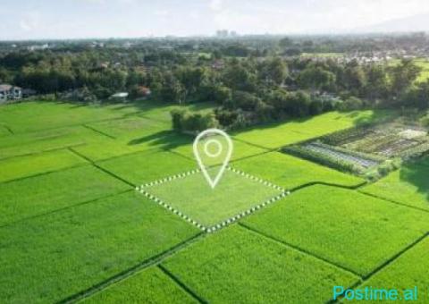 SHITET TOKË 1,500 m² | LUNDËR - 2/2