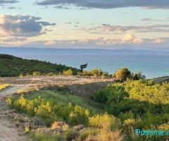 SHITET TRUALL13.500 M2 KEPI RODONIT 580.000 EURO