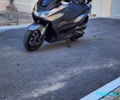 Honda forza