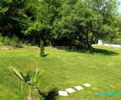 SHITET TOKE BUZE RRUGE KRYESORE NE TAGAN, TIRANE!