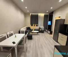 JEPET APARTAMENT 1+1+BLK ME QIRA TE KODRA E DIELLIT 55.000 L