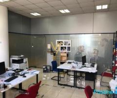 SHITET ZYRE 45 M2 TE SHESHI WILLSON 144.000 EURO