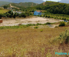 SHITET TOKË ME SIPËRFAQE 3200 M2 NË ÇERKEZË,KAMEZ
