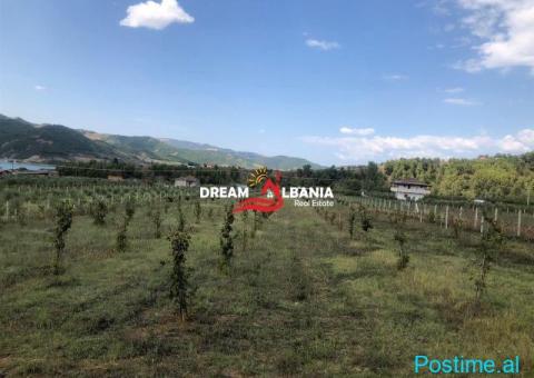 Toke ne shitje ne fshatin Cërujë, Gramsh (ID 4191132) - 1/4