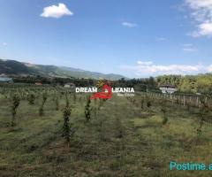 Toke ne shitje ne fshatin Cërujë, Gramsh (ID 4191132)