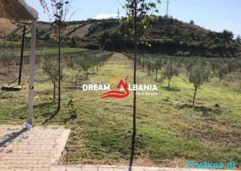 Toke ne shitje ne fshatin Cërujë, Gramsh (ID 4191132) - 2/4