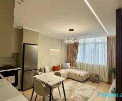 Apartament Me Qera 1+1 Tek Brryli (ID B2101899) Tirane