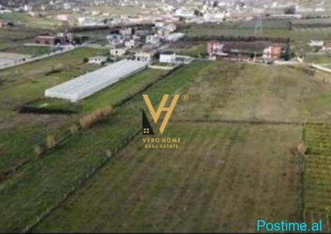 SHITET TOKE 7000 M2 NE PRUSH 770.000 EURO
