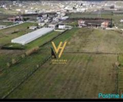 SHITET TOKE 7000 M2 NE PRUSH 770.000 EURO