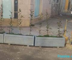 SHITET AMBIENT KOMERCIAL 200M², LAÇ!