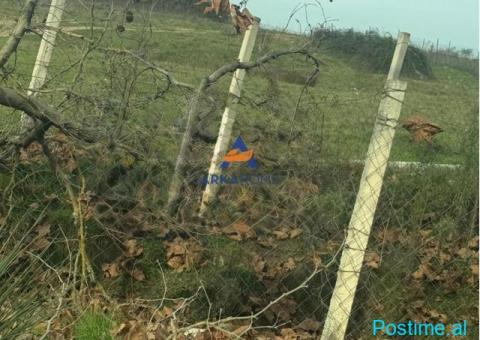 JEPET TOKË ME QERA 600M2 'FARKË' 1000 EURO