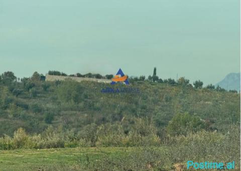 JEPET TOKË ME QERA 5000M2 'FARKE' 50.000 LEKE
