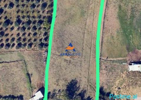 SHITET TOKE 6380M2 'FARKE' CMIMI SIPAS M2
