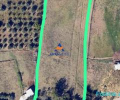 SHITET TOKE 6380M2 'FARKE' CMIMI SIPAS M2