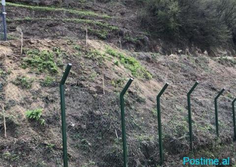 SHITET TRUALL 2535 M2 KODRA E DIELLIT 490.000 EURO - 1/4