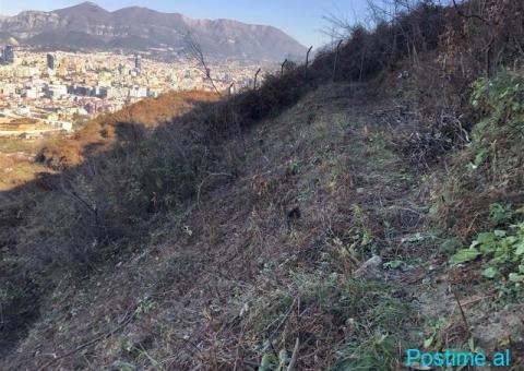 SHITET TRUALL 2535 M2 KODRA E DIELLIT 490.000 EURO - 4/4