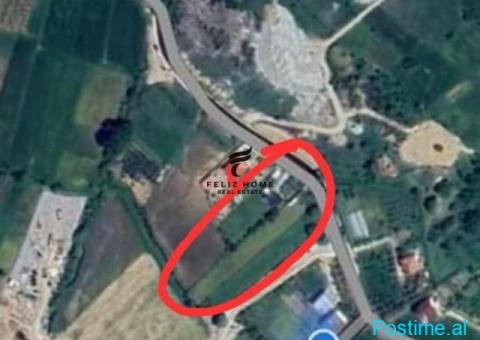 SHITET TOKE 3600 M2 SAUK 540.000 EURO
