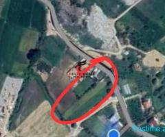 SHITET TOKE 3600 M2 SAUK 540.000 EURO