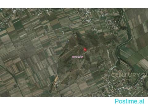 +355682429333 Shitet Tokë – Katund i Ri, Durrës - 4/5