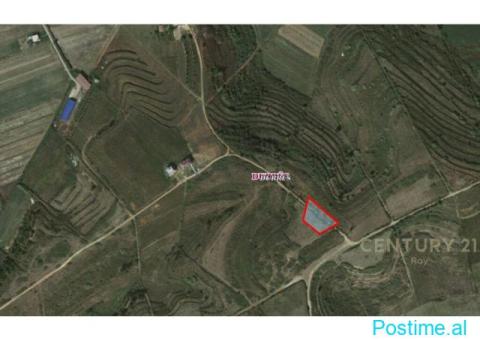 +355682429333 Shitet Tokë – Katund i Ri, Durrës - 5/5
