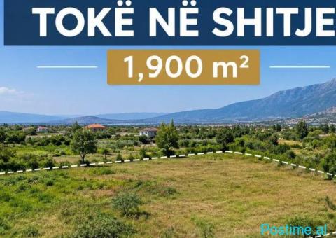 🌿🏡 TOKË NË SHITJE – LINZË 🏡🌿 📍 Linzë, Tiranë 📐 Sipër