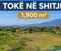 🌿🏡 TOKË NË SHITJE – LINZË 🏡🌿 📍 Linzë, Tiranë 📐 Sipër
