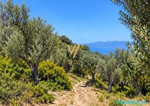 SHITET TOKE 1.500 M2 NE PIQERAS, SARANDE 100.000 EURO
