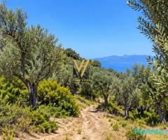 SHITET TOKE 1.500 M2 NE PIQERAS, SARANDE 100.000 EURO