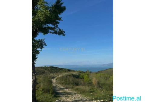 0683005058 TOKE ME PAMJE DETI NE SHETAJ,KEPI I RODONIT - 1/4