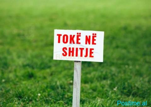 0695264472 Shitet, Toke per zhvillim, Piqeras, Borsh