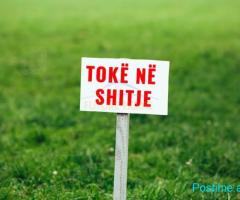 0695264472 Shitet, Toke per zhvillim, Piqeras, Borsh