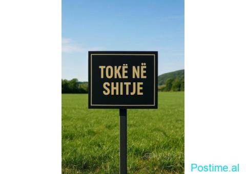 SHITET TOKE ARE 1000 M2 VISHNJE 90.000 EURO FH-93063