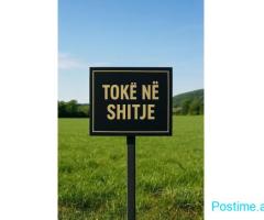 SHITET TOKE ARE 1000 M2 VISHNJE 90.000 EURO FH-93063