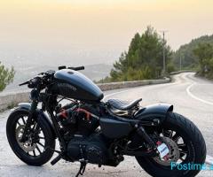 Harley Davidson 883 Custom Bobber