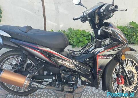 Papaq 125 cc - 2/2