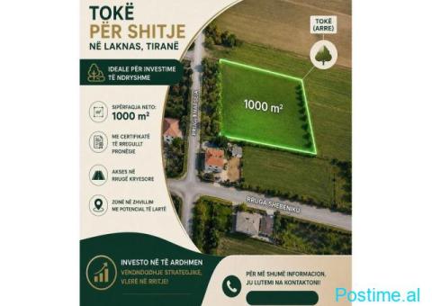 TOKË (ARË) PËR SHITJE – LAKNAS, TIRANË - 2/2
